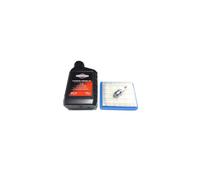 Service Kit Compatible With Hayter Harrier 41 Petrol Lawn Mowers Fitted With B&S Quantum Engine