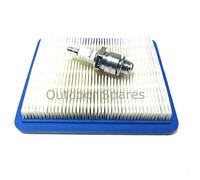 Service Kit For Petrol Lawn Mowers With The Briggs & Stratton Quantum Engine