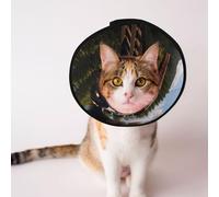 Service Train Dog Cone Collar - Protective Collar for Dogs and Cats, Comfortable Pet Recovery CollarFor Large and Medium-Sized Puppies