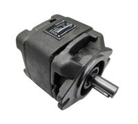 Servo Hydraulic Pump HG0 HG1-08 10 13 16 20-01R-VPC High Pressure Oil | Electric servo hydraulic gear pump positive displacement constant flow high pressure oil pump(Hg0-16-01r-vpc)