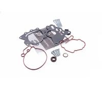 Fits SKV GERMANY 18SKV804 VACUUM PUMP REPAIR KIT 18SKV804 ⭐UK Stock⭐