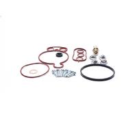 Fits SKV GERMANY 18SKV805 VACUUM PUMP REPAIR KIT 18SKV805