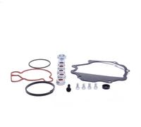 ESEN SKV 18SKV809 Repair Kit, vacuum pump (brake system)