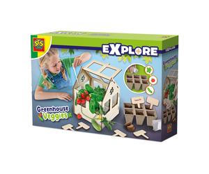 SES Creative Greenhouse Veggies Create Your Own DIY Green House Crafting Kit