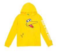 Sesame Street Big Bird Mens Matching Family Cosplay Pullover Hoodie Yellow Large