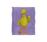 Sesame Street Big Bird Painted Officially Licensed Silky Touch Super Soft Throw Blanket 152 x 127 cm