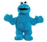 Sesame Street Big Hugs Plush Cookie Monster, Officially Licensed Kids Toys for Ages 3 Up, Gifts and Presents by Just Play