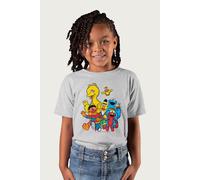 Sesame Street Big Little Bird Bert Ernie Cookie Monster Elmo T-Shirt in Mid Grey | Size: 7-8 Years Sesame Street Mid Grey 7-8 Years