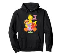 Sesame Street Birthday Crew Elmo And Friends 3rd Birthday Pullover Hoodie