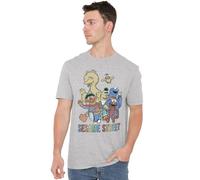 Sesame Street Colorful Group Unisex T Shirt, Athletic Heather, XX-Large