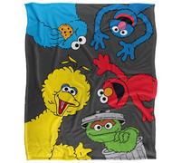 Sesame Street Group Pose Blanket