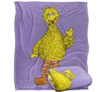 Sesame Street Painted Big Bird Blanket Multicoloured (One Size)