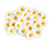 sesameless Easter Decorations 25PCS Daisy Flower Heads Artificial Fake Gerbera Petals White Silk Bulk Flower Heads Decorative Daisies for Crafts Wreath Easter Bonnet for Adults