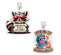 Set 2Pcs Fueled By Chaos And Carbs, Someone Has To Set A Bad Example Kindle Charms, Dust Plug Charm 1.5 Inches Raccoon, Dumpster Fire, Sarcastic Lightning/Type C Acrylic Material Accessories for Phone