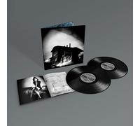 Set Fire to Flames - Sings Reign Rebuilder [VINYL]