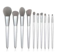 set makeup conical 10pcs brush wooden mouthpiece silver and handle handle Brush Chfafgf115pn (Silver, One Size)