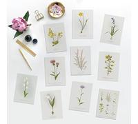Set of 10 Eco Mixed Wildflower Greeting Cards. A6. With Kraft Envelope. Botanical Card Set, FSC Card. British Wildflower Greeting Cards.