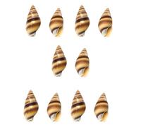 Set of 10 Handcraft Shell Buttons Smooth Life Like Texture Fasteners Buckle for Creative Gift Wrapping and Decors Craft Supply
