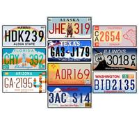 - Set of 10 metal USA car LICENSE PLATES - replicas of real American plates of the most famous American states - MAD