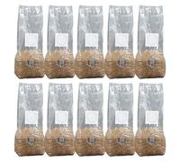 Set of 10 Mycelium Growth Bags Engineered to Provide Optimal Conditions for Gourmet and Medicinal Mushrooms (25×50)