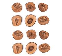 Set of 12 Coasters in Natural Cut Rustic Glass Coasters Olive Wood Handmade Wooden Coasters Gift (Set of 12)