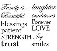 Set of 12 Family Quote Words Vinyl Wall Sticker Picture Frame Wall Family Room Art Decoration #1332 (Matte Black)