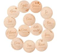 Set of 14 Baby Milestone Cards Wooden Infant,Wooden Discs Milestone Cards Birth Cards for Baby Shower,Newborn Photography Propsgift Sets for Baby Shower