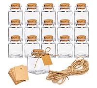 Set of 15 Mini Square Glass Favor Jar with Cork Stopper 1.7oz