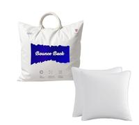Set of 2-25cm x 25cm Hollowfibre Cushion New White Pad Inner Stuffer Pillow Polyester Insert Square Hypoallergenic (Pack of 2 | 10" x 10")