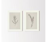 Set of 2 Antique Botanical Prints | Two Minimal Drawing Posters, Natural Tone Wildflower Wall Art, Beige Artwork, Elegant Home Decor SP14