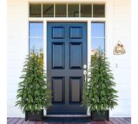 Set of 2 Artificial Norfolk Pine Tree, 4 ft Realistic Christmas Tree, Fake Potted Plants for Front Porch Outdoor Indoor Garden Christmas Decor(2 PCS, 4ft)