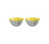 Guzzini 8008392300991 LE MURRINE Bowl, Acrylic, 300 milliliters, Grigio/Giallo