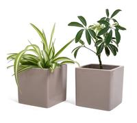 Set of 2 Ceramic Square Vases Indoor White Succulent Flower Bonsai Cactus Home Desk Table Office Decoration (M - 10 x 10 cm Taupe)