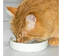 Set of 2 Embossed Paw Print Small Cat Bowls (Cream)