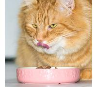 Set of 2 Embossed Paw Print Small Cat Bowls (Pink)