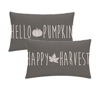 Set of 2 Fall Decor Pillow Cover Hello Pumpkin &Happy Harvest Rectangular/Waist Cushion Cover Autumn Grey Farmhouse Home Decor Pillowcases 12”x 20”for Couch Sofa Patio(12”x 20”, Grey)
