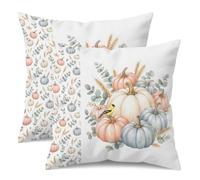 Set of 2 Fall Pumpkin Throw Pillow Covers 18x18 Inch, Double Sided Decorative Cushion Covers with Blue White Pink Pumpkins Birds, Watercolor Autumn Harvest Farmhouse Pillow Covers for Sofa Home Decor