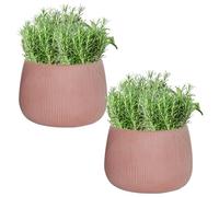 Set of 2 Fibre Clay Plant Pots 29cm Planters (Terracotta, Small, 8.5L)