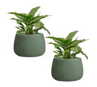Set of 2 Fibre Clay Plant Pots 29cm Round Planters (Green, Small, 8.5L)