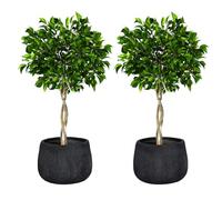 Set of 2 Fibre Clay Plant Pots 42cm Round Planters (Black, Medium 30L) | Fibre Clay, Drainage Hole, Patio, Decking, Lawn, Doorstep, Porch, Lawn, Rippled Finish, Round, Planter, Plant Pot