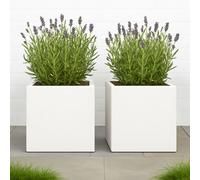 Set Of 2 Idealist™ 25Cm Planter, White Reinforced Stone Square Flower Box Garden Planters, Outdoor Plant Pots