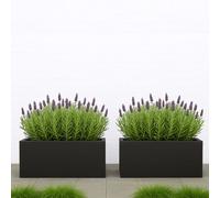Set Of 2 Idealist™ 50Cm Window Box Garden Planter, Black Reinforced Stone Windowsill Planter, Outdoor Plant Pots H20 L50 W20 Cm