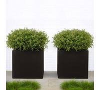 Set Of 2 Idealist™ 60Cm Large Square Planters, Black Reinforced Stone Garden Flower Box, Outdoor Large Plant Pots