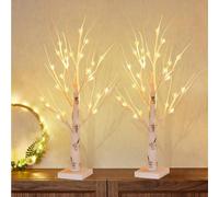 Set of 2 Lighted Birch Trees, 2FT/60CM LED Twig Lights, Christmas Tree With 24 LEDs, Battery/USB Powered Indoor Warm White, Home Party Wedding Decoration Gifts