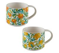 Set of 2 Orange & Lemon Mugs Multi-Coloured