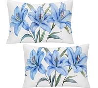 Set of 2 Rectangular Cushion Cover, Velvet Decor Throw Pillow Covers White Decorative Pillow Cases, Flowers Cushion Cover for Couch Bedroom Sofa Car Home Living Room Decor 30x50cm YF-1712