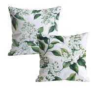 Set of 2 Soft Velvet Cushion Covers 40x40cm Green Simple Decorative Square Pillowcases with Hidden Zipper, Summer Home Decoration Sofa Cushion Covers for Home Living Room Garden Patio 16x16in t9n-46