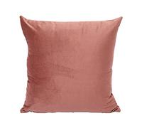 Set of 2 Square Soft Cushion Covers, Velvet Cushion Covers, Decorative Cushion Covers, Sofa Cushion, Decorative Cushion for Sofa, Bedroom, Living Room, Balcony, with Concealed Zip, Fully Washable, 40