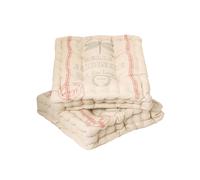 Set of 2 Traditional Insect Print Indoor Dining Chair Seat Pad Box Cushions (L)40cm x (W)40cm Dibor Cream 40cm x 40cm