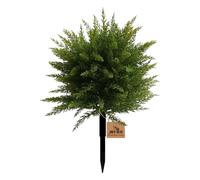Set of 2 UV Resistant Artificial Cedar Topiary Balls 60 cm Faux Cypress Shrubs with Ground Spike Fake Plants for Outdoor Porch Garden Home Decor